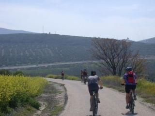  beautiful landscapes 